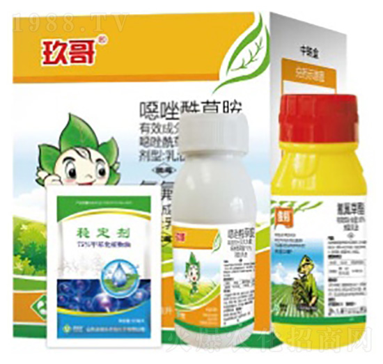 玫哥-湯普樂