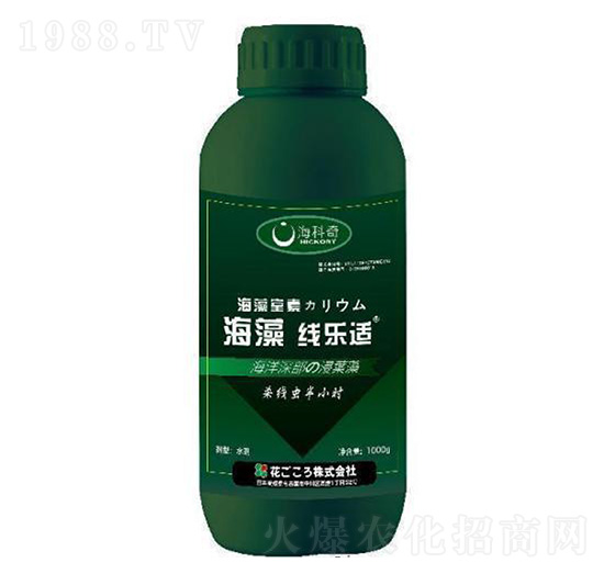 海藻線樂適-?？破? style=