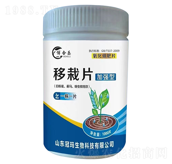 白粉虱薊馬蚜蟲(chóng)專(zhuān)用移栽片（加強(qiáng)型）-博合樂(lè)-冠瑪農(nóng)業(yè)