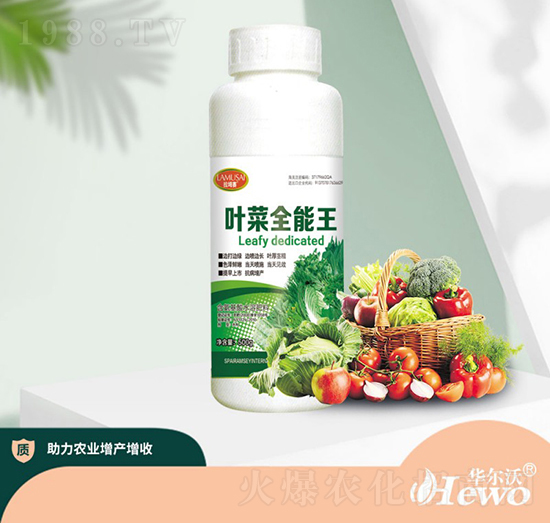 葉菜王-華爾沃