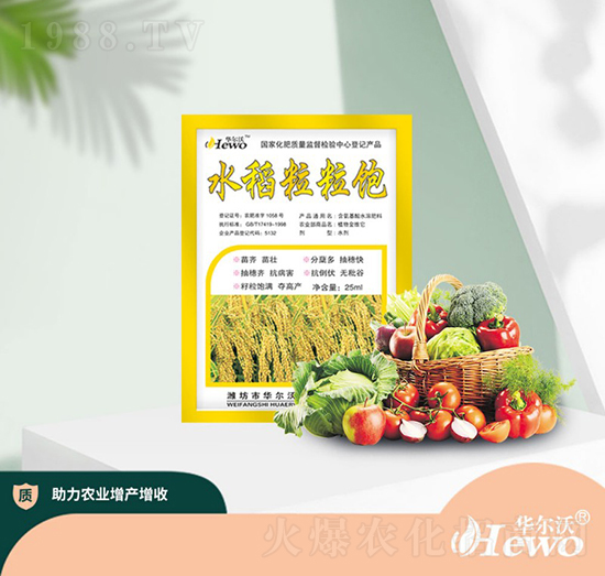 水稻粒粒飽-華爾沃