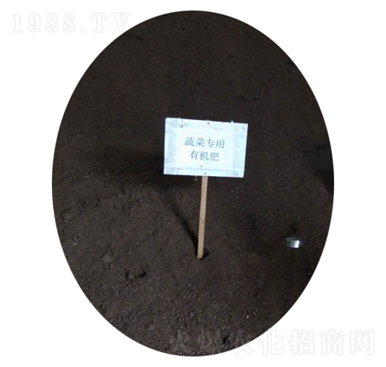蔬菜專(zhuān)用有機(jī)肥-農(nóng)神肥業(yè)