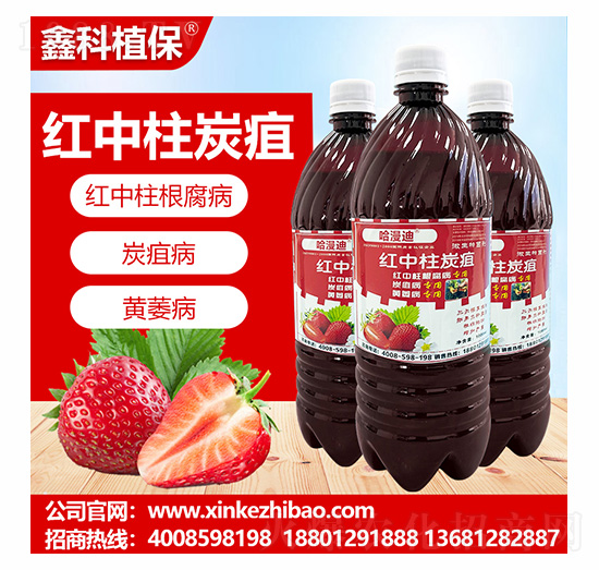 紅中柱炭疽靈-鑫科植保