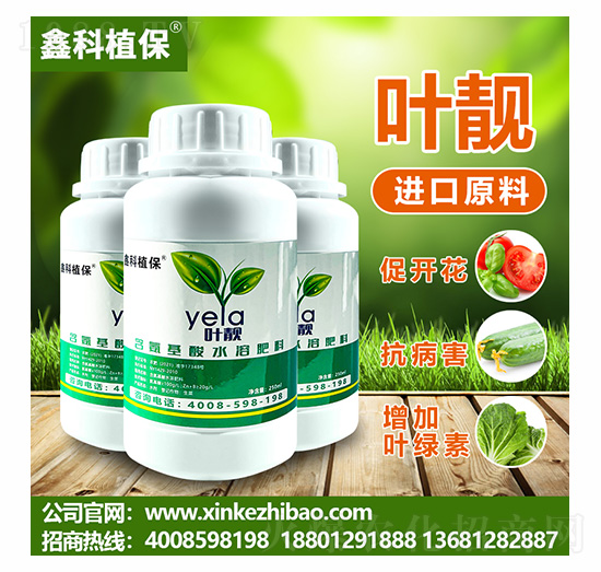 葉靚含氨基酸水溶肥料-鑫科植保