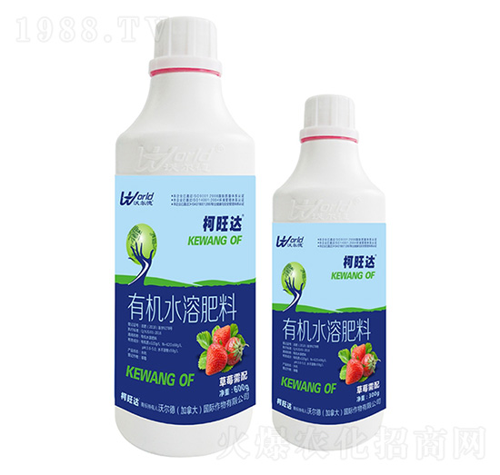 600g草莓需配有機水溶肥-柯旺達(dá)-沃爾德農(nóng)業(yè)