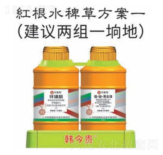紅根水稗草方案-韓金貴-韓友化學