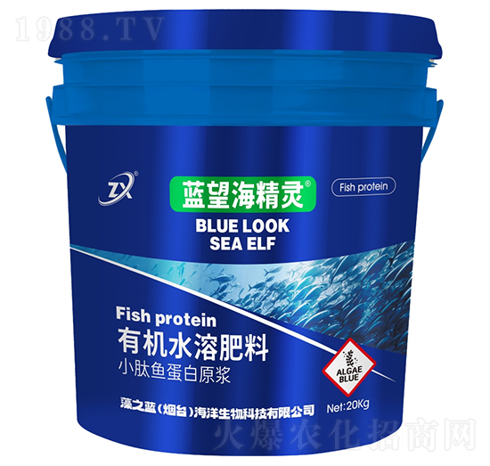 小肽魚蛋白原漿-藍(lán)望海精靈-藻之藍(lán)