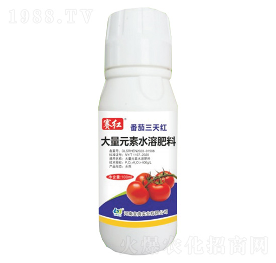 番茄三天紅-賽紅-寶典實(shí)業(yè)