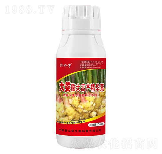 大姜膨大高產精華素-郭師傅-立信生物