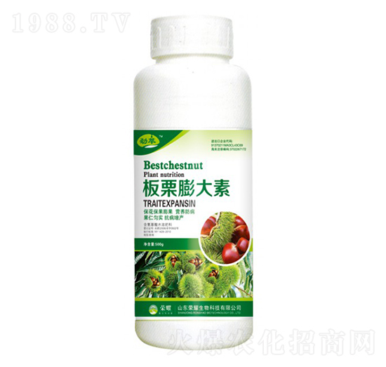 板栗膨大素（500g）-勁萃-榮耀農業(yè)