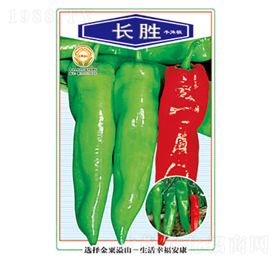 辣椒種子-長(zhǎng)勝-太樂(lè)種業(yè)