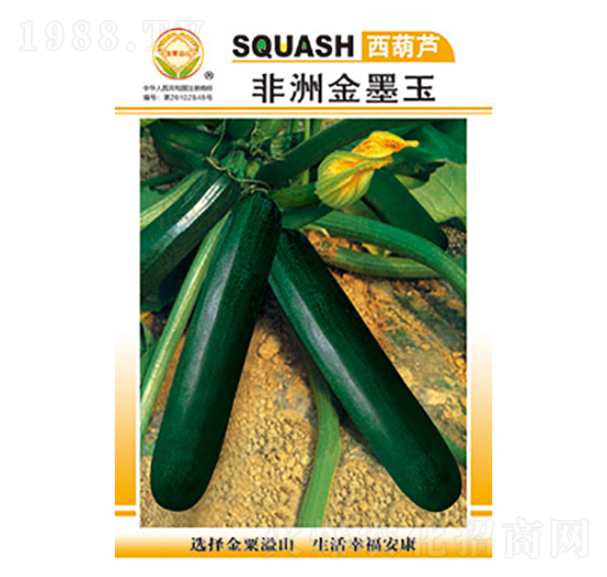 西葫蘆種子-非洲金墨王-太樂種業(yè)