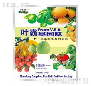 (rn)-~Ի