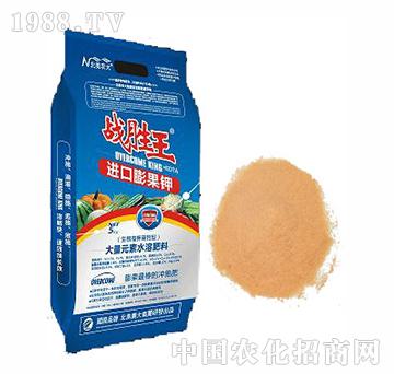 戰(zhàn)勝王進口膨果鉀（生根高鉀高鈣型）-北美農(nóng)大