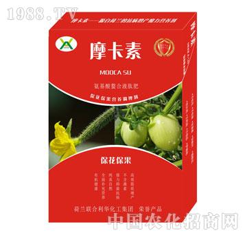 Һķ-Ħ-(qing)о(gu)H