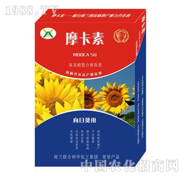 տðҺķ-Ħ-(qing)о(gu)H