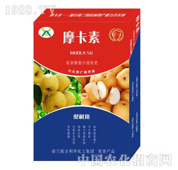 䌣ðҺķ-Ħ-(qing)о(gu)H
