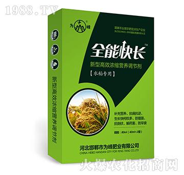 全能快長（水稻專用）-新型高效濃縮營養(yǎng)調(diào)節(jié)劑-為峰