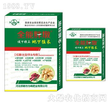 紅薯、土豆、芋頭專用-全能胖墩-為峰