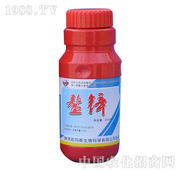 鰲鋅-歐瑪斯