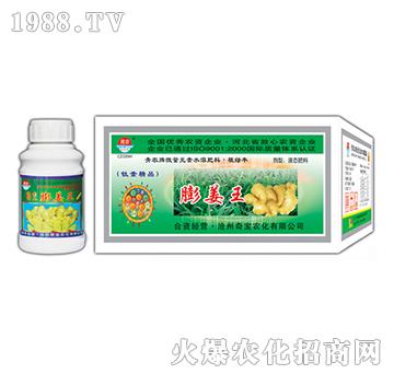 200g膨姜王-奇寶農(nóng)化