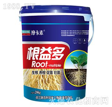 根益多-摩卡素-強(qiáng)芯國(guó)際