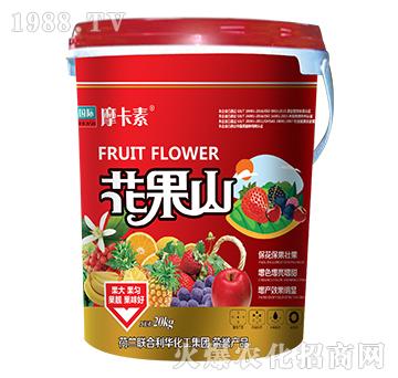 花果山-摩卡素-強(qiáng)芯國(guó)際
