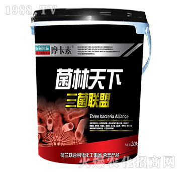 菌林天下三菌聯(lián)盟-摩卡素-強(qiáng)芯國(guó)際