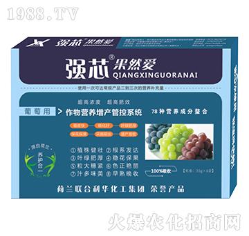 葡萄用強芯果然愛葉面肥-強芯國際