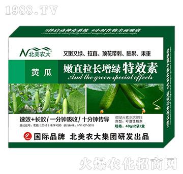 黃瓜嫩直拉長(zhǎng)增綠特效素-北美農(nóng)大
