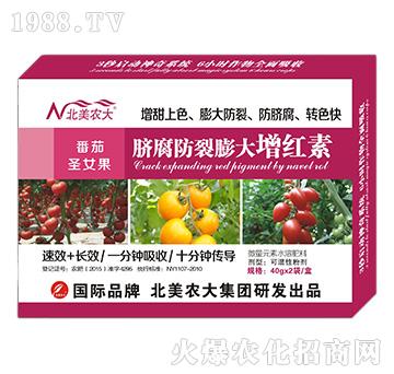 番茄圣女果臍腐防裂膨大增紅素-北美農(nóng)大