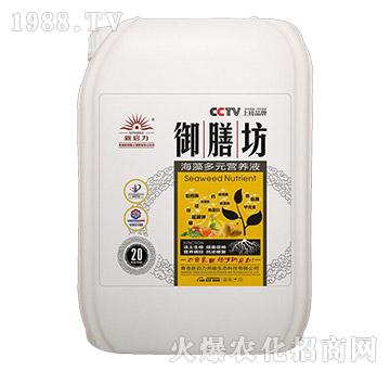 20kg海藻多元營(yíng)養(yǎng)液-御膳坊-新啟力