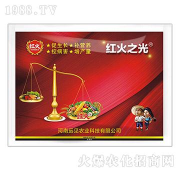 紅火之光-遠見農(nóng)業(yè)