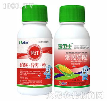 苞紅+玉衛(wèi)士-遠見農(nóng)業(yè)