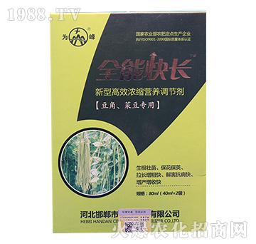 豆角、菜豆專用高效高效濃縮營養(yǎng)調(diào)控劑-全能快長-為峰肥業(yè)