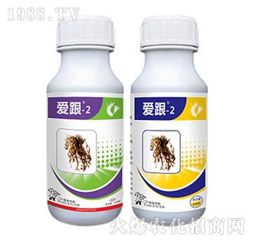 防治線蟲專用-愛(ài)跟-2套裝-中迅