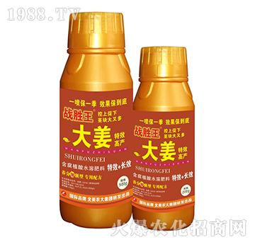 大姜特效高產(chǎn)含腐植酸水溶肥料-戰(zhàn)勝王-北美農(nóng)大
