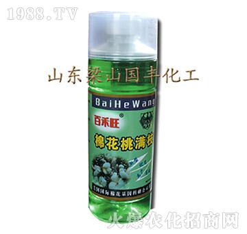 棉花桃滿枝（500ml）-梁山國(guó)豐