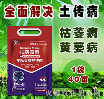 多粘類芽孢桿菌-枯黃霉素-中農弘露