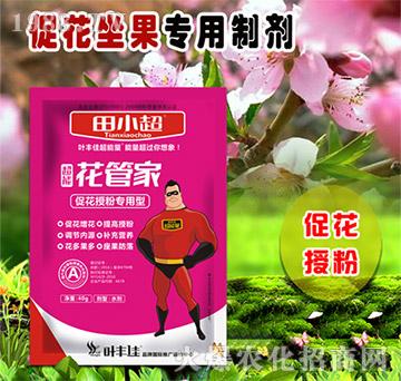 促花授粉專用型-花管家-田小超