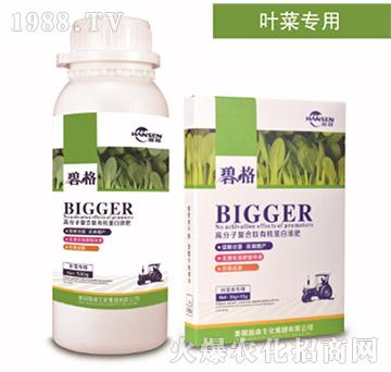 葉菜專用高分子復(fù)合肽有機蛋白液肥-碧格-瀚森農(nóng)業(yè)