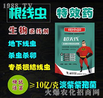 根結線蟲藥生物殺線劑-超無線-田小超