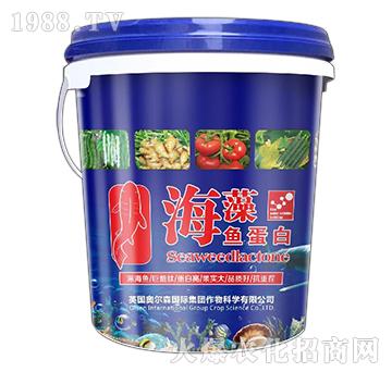 含腐殖酸水溶肥料-海藻魚蛋白-奧爾森