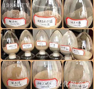 樣品展示圖