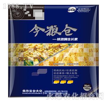 核激酶生長素-金糧倉-云臺(tái)大化