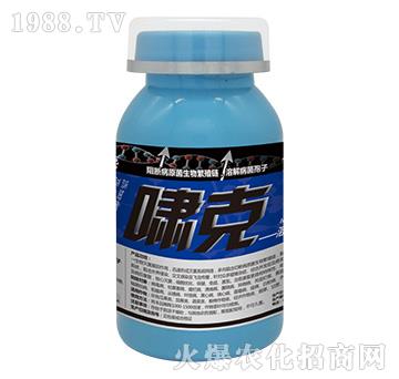 嘯克-云臺大化
