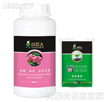 玫瑰、牡丹、菊花專用調節(jié)劑-小巨人