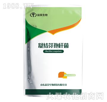 凝結芽孢桿菌-益昊生物