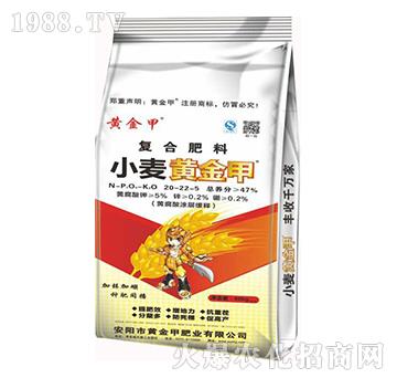 復(fù)合肥料20-22-5-小麥黃金鉀-黃金鉀