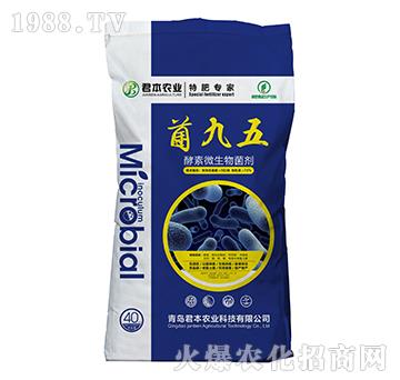 酵素微生物菌劑-菌九五-君本農業(yè)